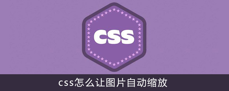 Css怎么让图片自动缩放 Html中文网