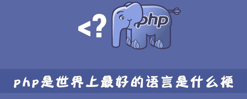 php是世界上最好的语言是什么梗