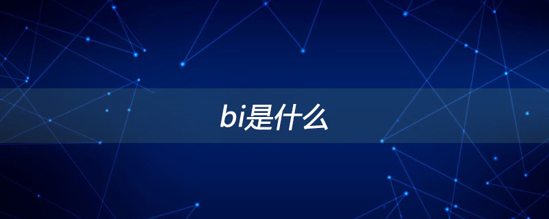 bi是什么?