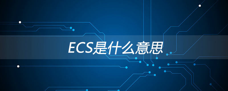 ECS是什么意思？