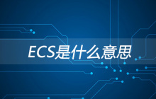 ECS是什么意思？