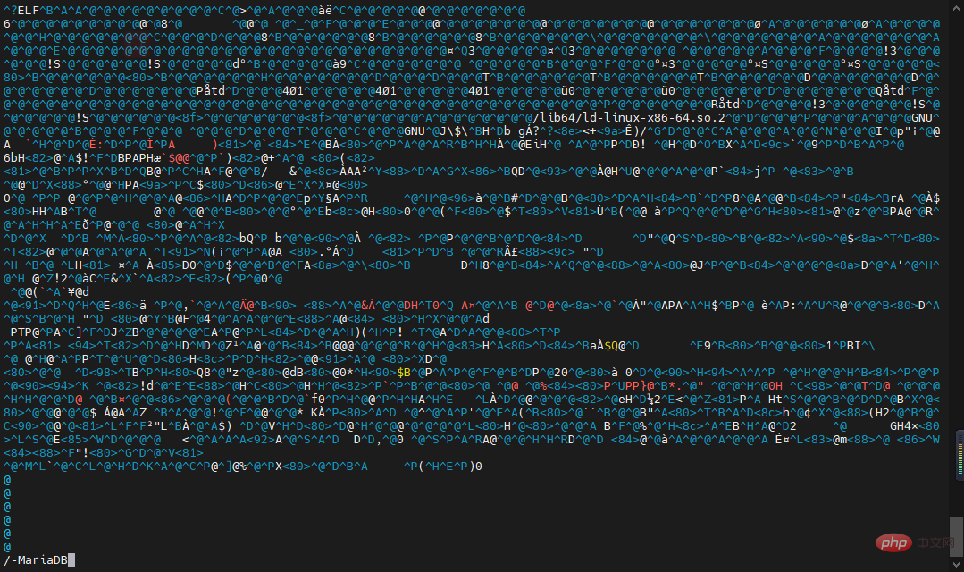 image-20220304210730310
