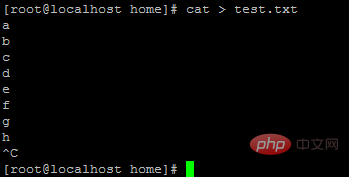 centos7 cat命令是什么意思