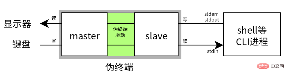 linux ptys是什么