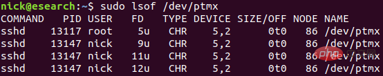 linux ptys是什么