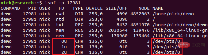 linux ptys是什么