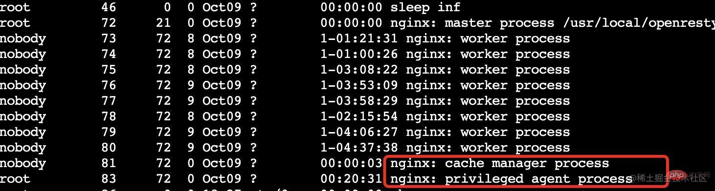 深析如何通过Nginx源码来实现worker进程隔离
