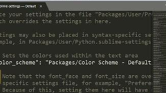 What are the basic settings of Sublime Text?