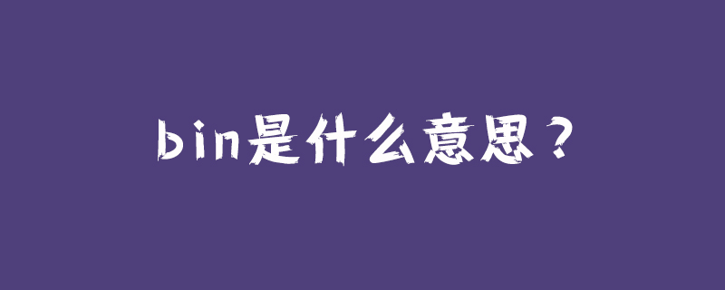 ビンってどういう意味ですか？