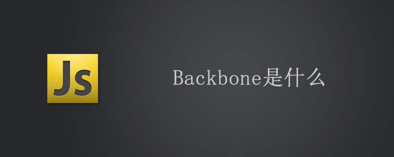 backbone是什么意思？