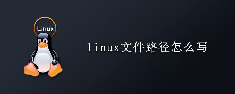 linux文件路徑怎么寫?-小浪學(xué)習(xí)網(wǎng)