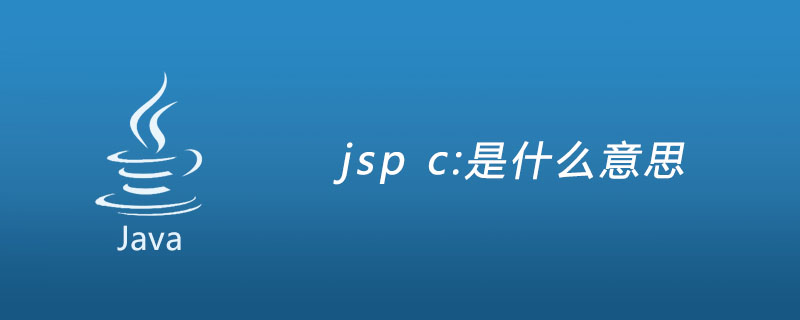 jsp c:是什么意思？