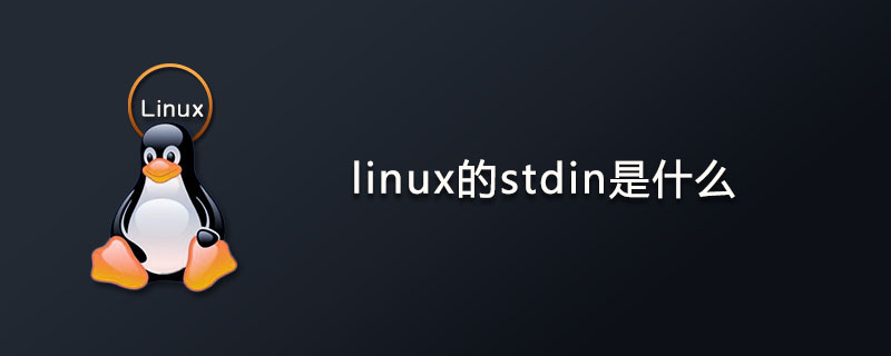 linux的stdin是什么？