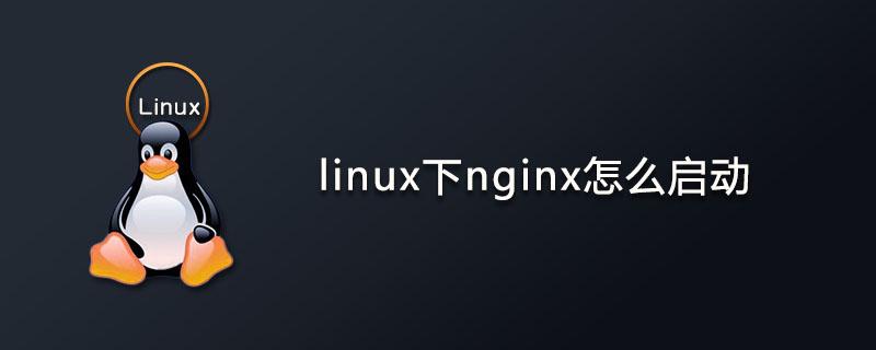 linux下nginx怎么啟動?-小浪學習網