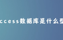 access数据库是什么型？
