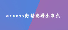 Can access data be exported?