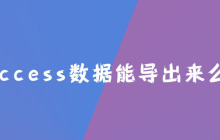 access数据能导出来么？
