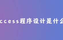 access程序设计是什么？