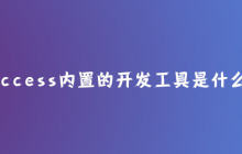 access内置的开发工具是什么
