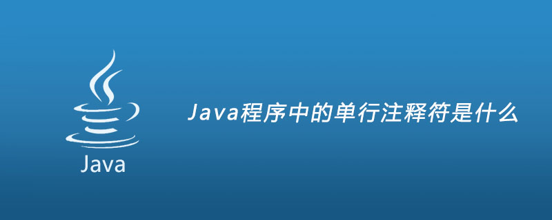 Java程序中的单行注释符是什么？