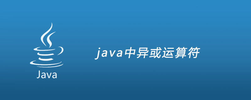 java中异或怎么运算？