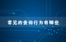 常见的查询行为有哪些？