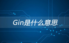 gin是什么意思？