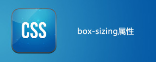 CSS 상자 크기 조정 속성을 사용하는 방법