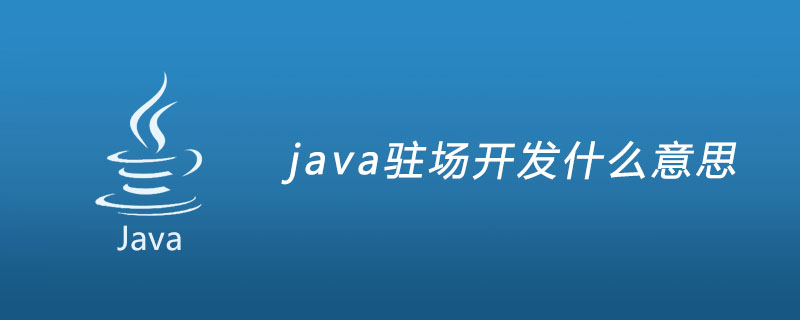java驻场开发什么意思