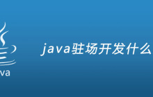 java驻场开发什么意思