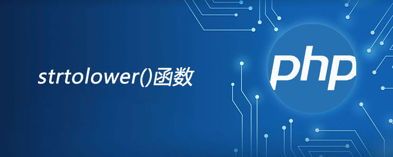 php strtolower函数怎么用？