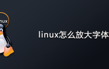 linux怎么放大字体