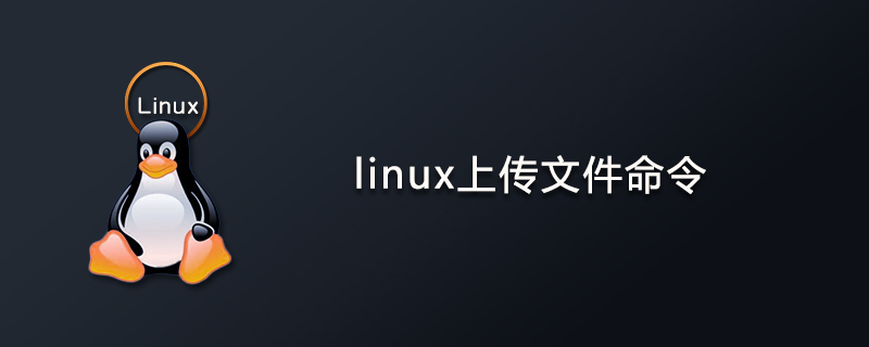 linux上傳文件命令-小浪學習網