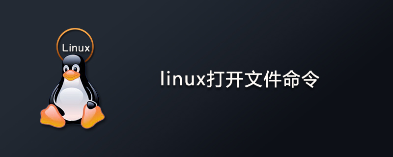 linux打开文件命令