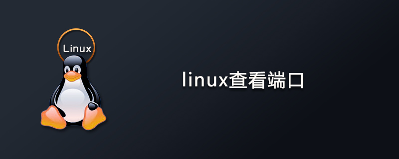 Linux如何查看端口-小浪學習網