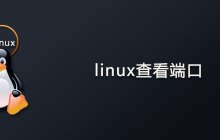 Linux如何查看端口