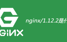 nginx/1.12.2是什么意思