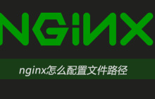 nginx怎么配置文件路径