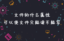 文件的什么属性可以使文件只能读不能写