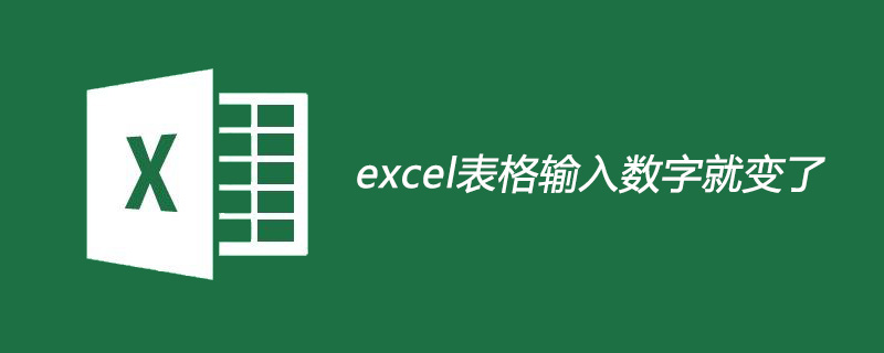 excel表格輸入數(shù)字就變了怎么回事-小浪學(xué)習(xí)網(wǎng)