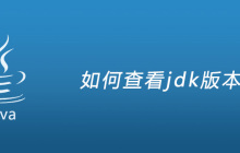 如何查看jdk版本