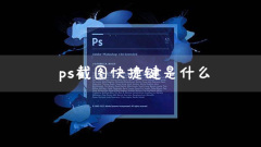 What is the shortcut key for ps screenshot?