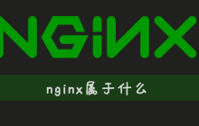 nginx属于什么