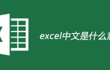 excel中文是什么意思