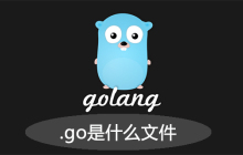 .go是什么文件