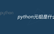 python元组是什么意思