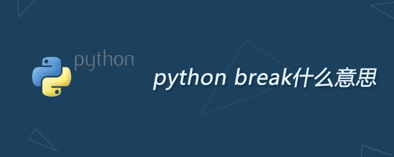 python break什么意思