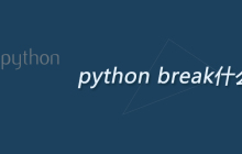python break什么意思