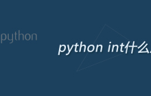python int什么意思