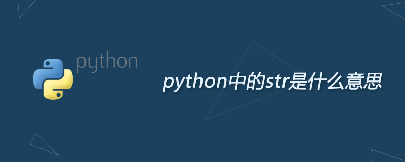 python中的str是什么意思